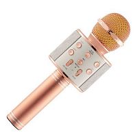 Колонка-микрофон Bluetooth/USB/micro SD/караоке (WS-858/C-335) розовое золото